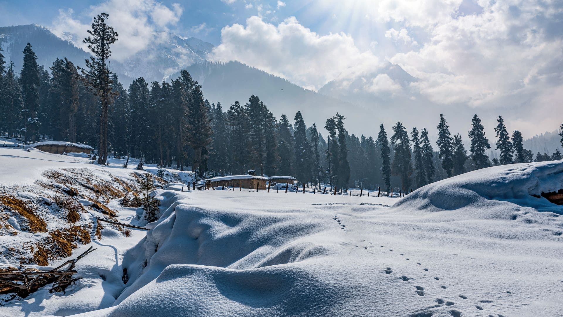 Kashmir
