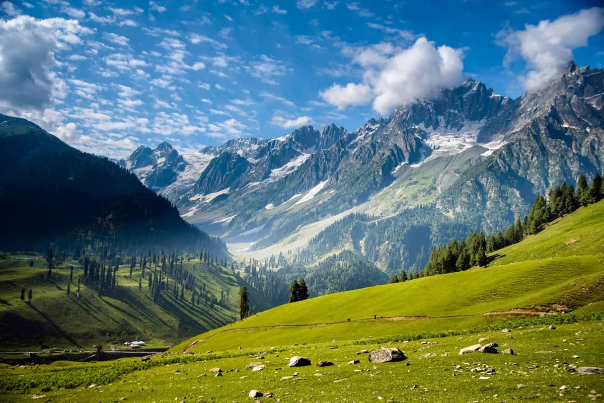 Kashmir Honeymoon Special — 5N/6D — Kashmir tour package